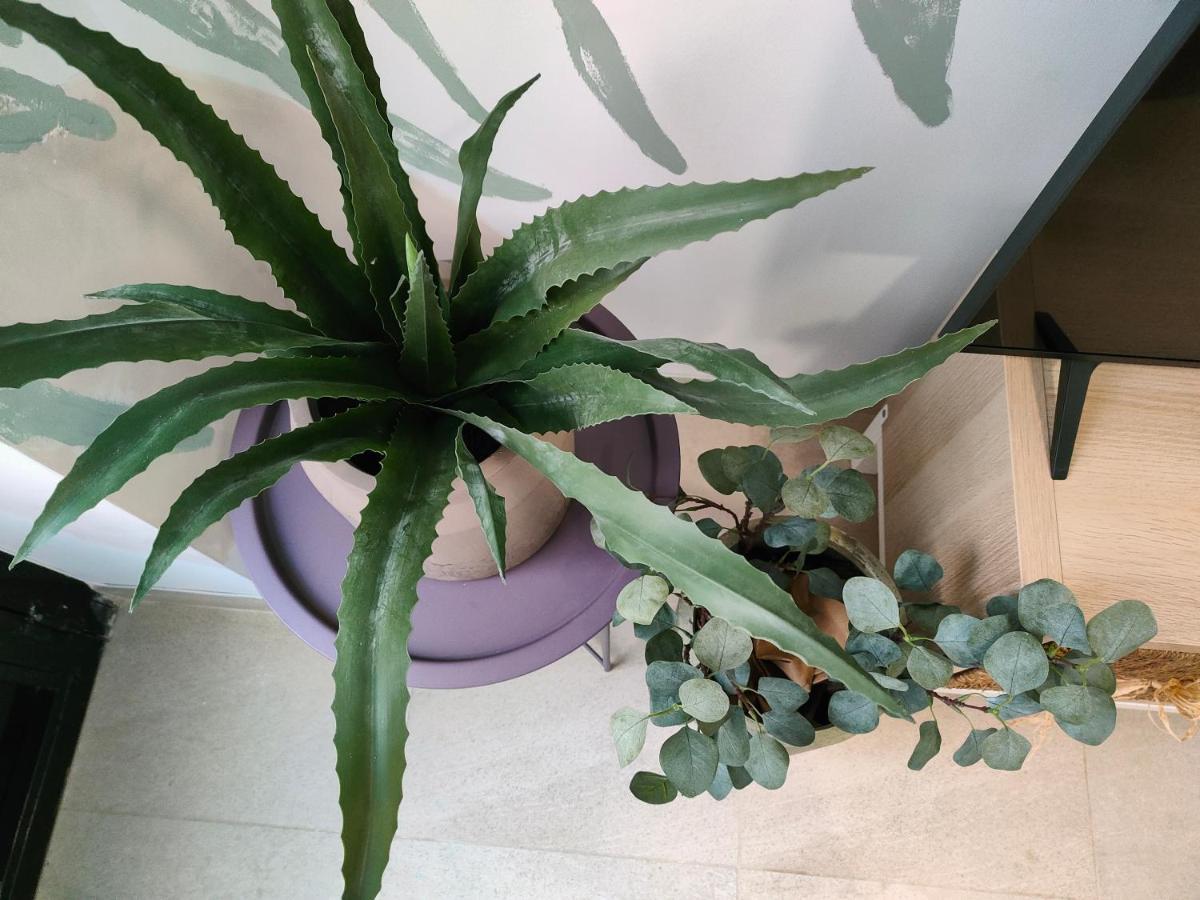 Hola Apartament 알리칸테 외부 사진